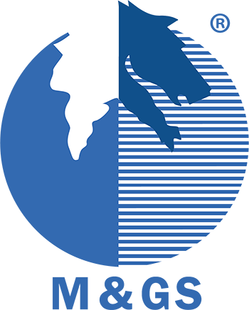 PT Peta Media Nusindo