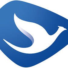 Bluebird Pool Pondok Cabe 1