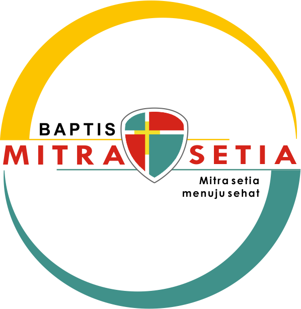 PT Mitra Setia Sejati